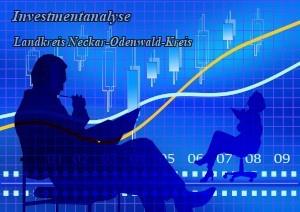Investmentanalyse - Landkreis Neckar-Odenwald-Kreis